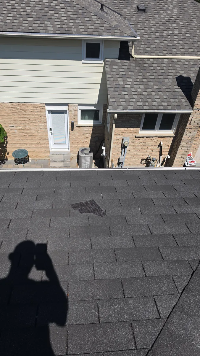 Gutter Cleaning project