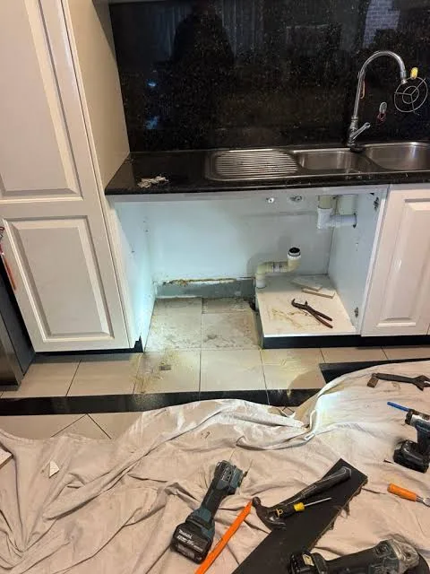 Kitchen Leak project