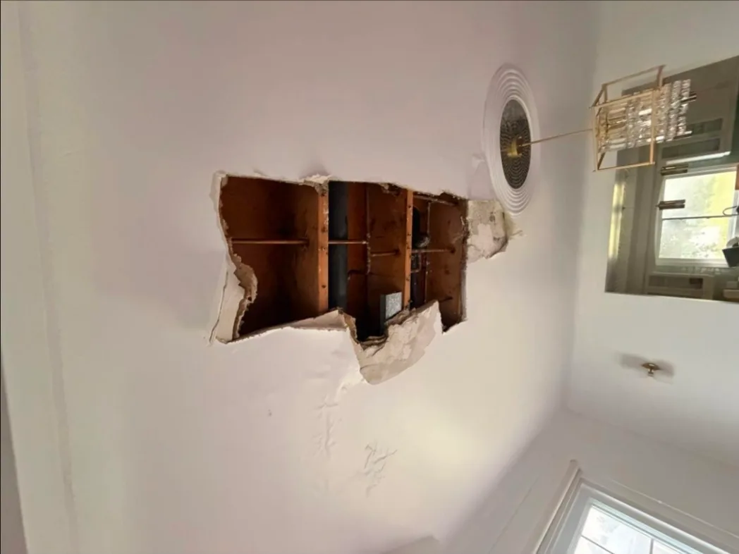 Ceiling Repair  project