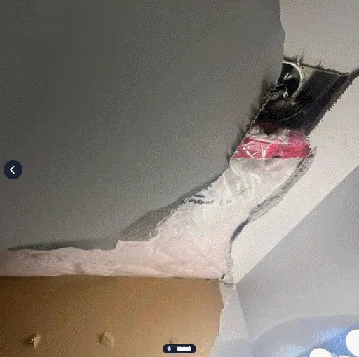 Ceiling Repair project