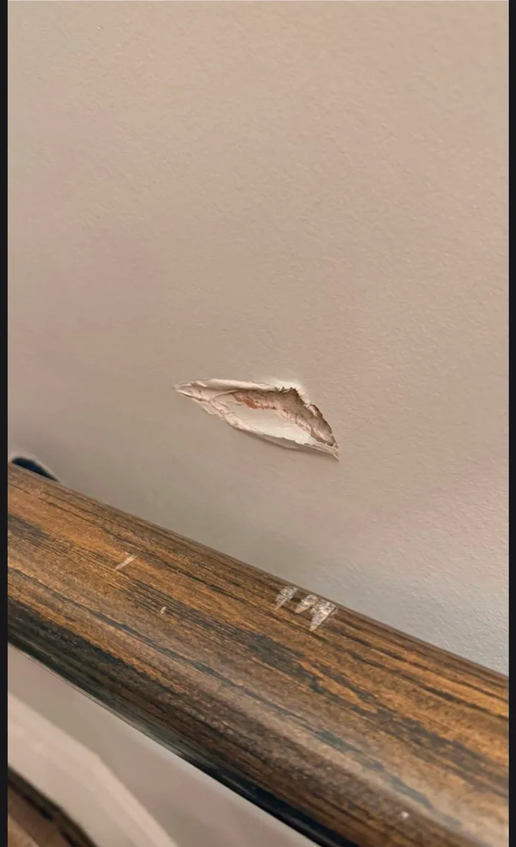 Drywall repair  project