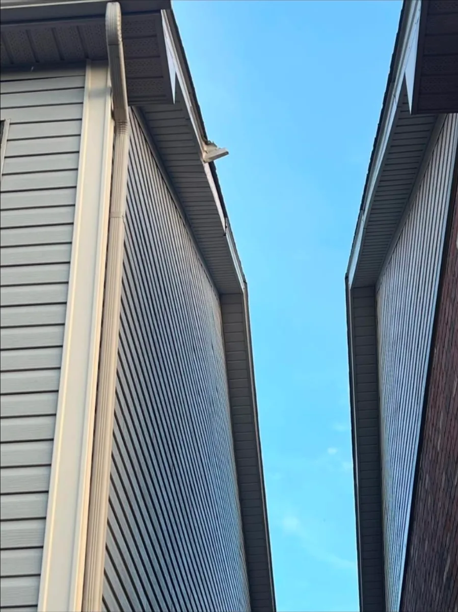 Fascia Repair  project