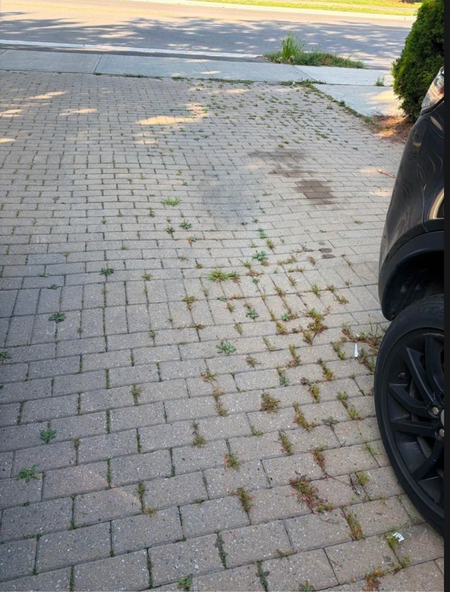 Interlock power wash project