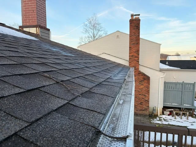 Roof shingle replacement project